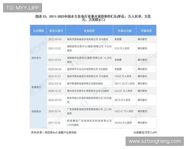 南京排球队在大师赛中的团队协作表现分析与启示